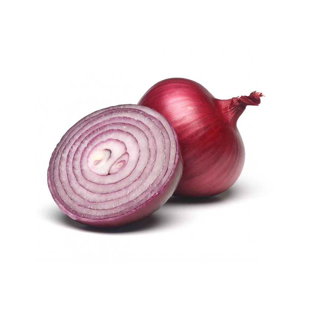 Onion dignissim malesuada nulla